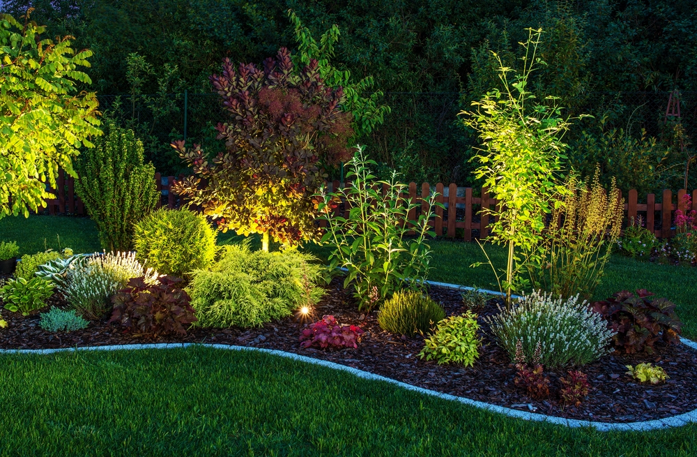 5 common landscape lighting mistakes to avoid