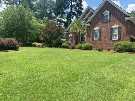How to know when your lawn needs professional lawn care instead of basic mowing