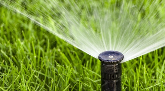 Uneven sprinkler coverage