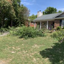 Yard clean up in west columbia sc 002