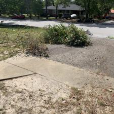 Yard clean up in west columbia sc 004