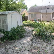 Yard clean up in west columbia sc 006