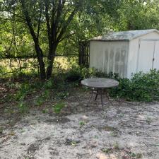 Yard clean up in west columbia sc 007