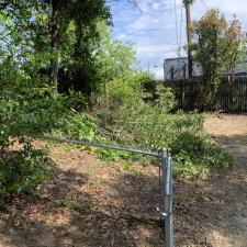 Yard clean up in west columbia sc 009