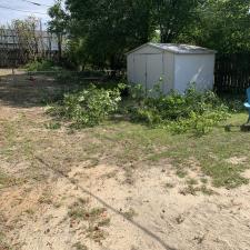Yard clean up in west columbia sc 010