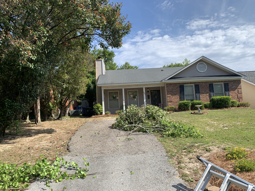 Yard clean up in west columbia sc