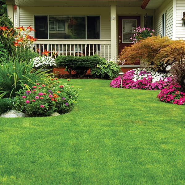 Residential lawncare